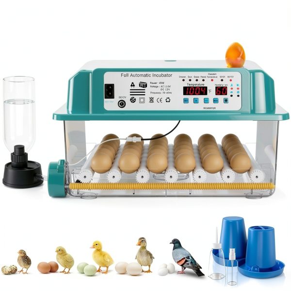 CoInceptus JL36 Poultry Egg Incubator for Chicken, Quail, Duck, and-0