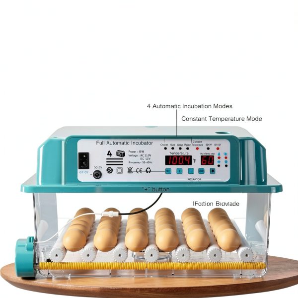 CoInceptus JL36 Poultry Egg Incubator for Chicken, Quail, Duck, and-5