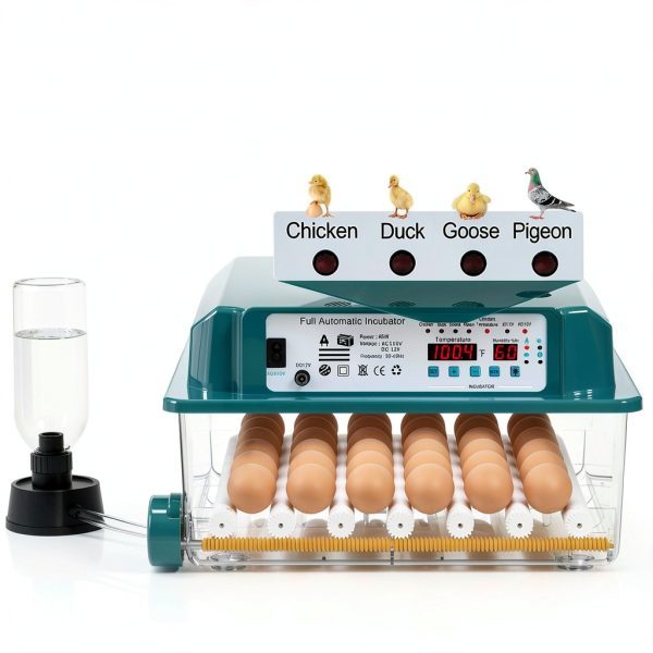 CoInceptus JL36 Poultry Egg Incubator for Chicken, Quail, Duck, and-2