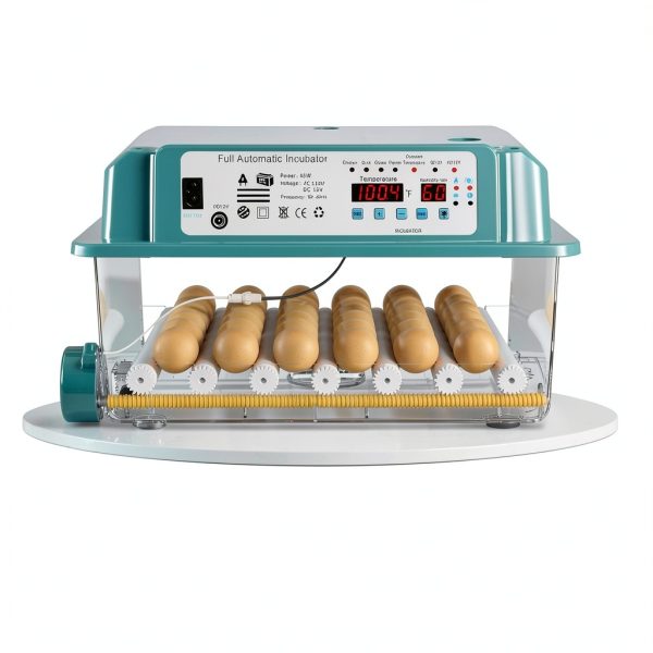 CoInceptus JL36 Poultry Egg Incubator for Chicken, Quail, Duck, and-4